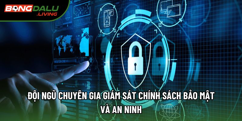 Đội ngũ chuyên gia giám sát chính sách bảo mật và an ninh 